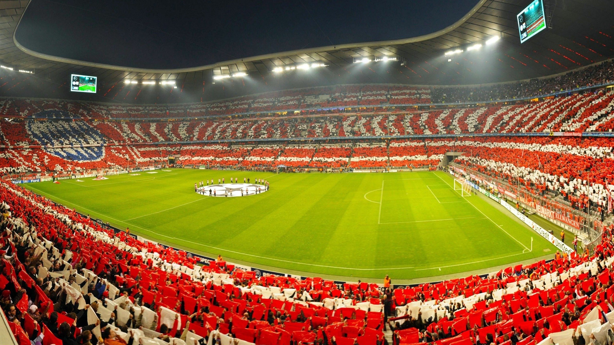 出发弹跳力提升,抢占领先先机,弹跳发力原理